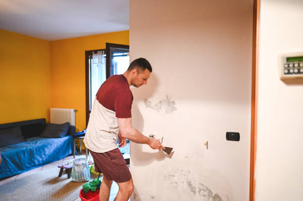 Best White Mold Remediation in Centereach, NY